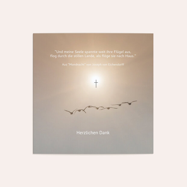 Trauerdanksagung - Vogelflug
