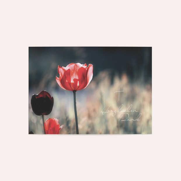 Trauerdanksagung - Mohnblume