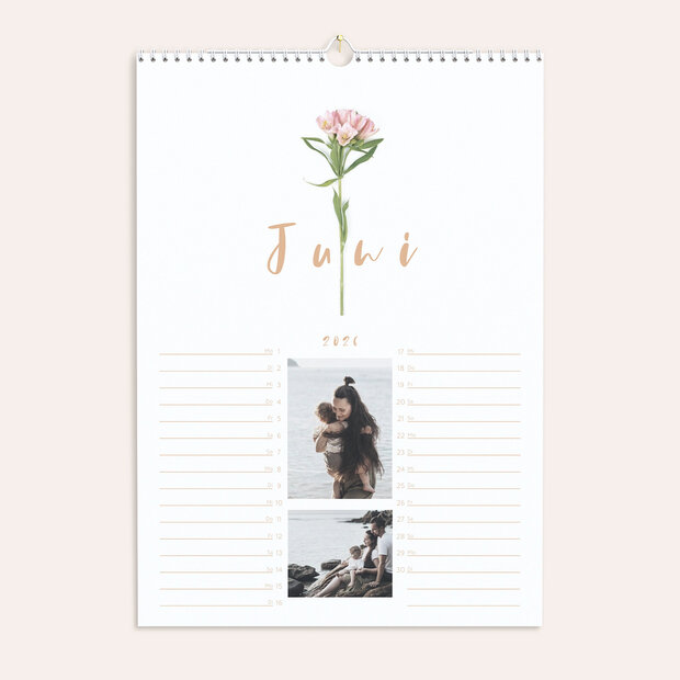 Küchenkalender - Botanikum