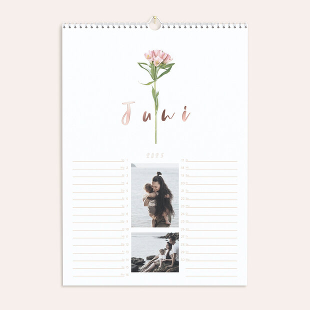 Küchenkalender - Botanikum