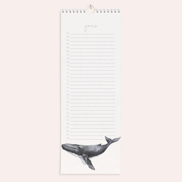 Geburtstagskalender - Meerestiere