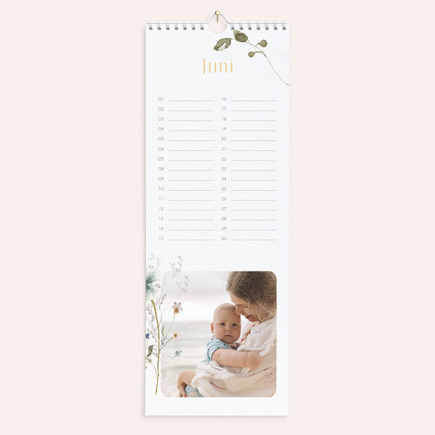 Geburtstagskalender - Durchs ganze Jahr