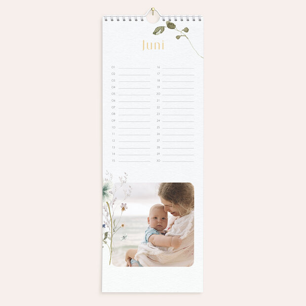 Geburtstagskalender - Durchs ganze Jahr
