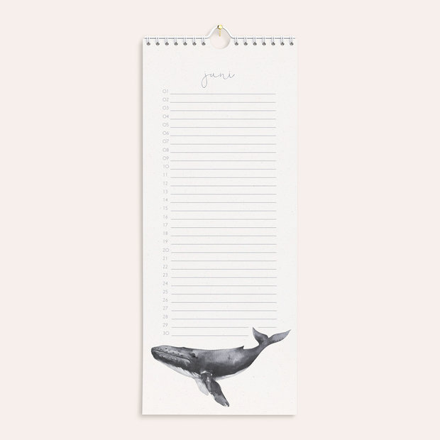 Geburtstagskalender - Meerestiere