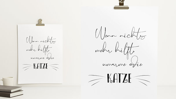 Wandbilder Wohnzimmer - Hug the cat