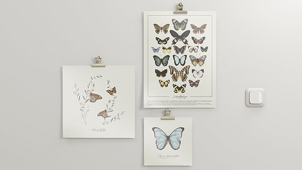 Wandbilder Wohnzimmer - Welt der Schmetterlinge