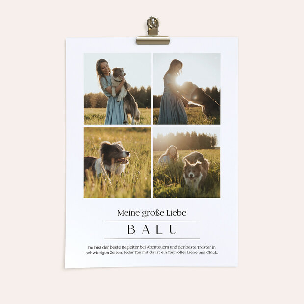 Wandbilder mit Foto - Hundeliebe