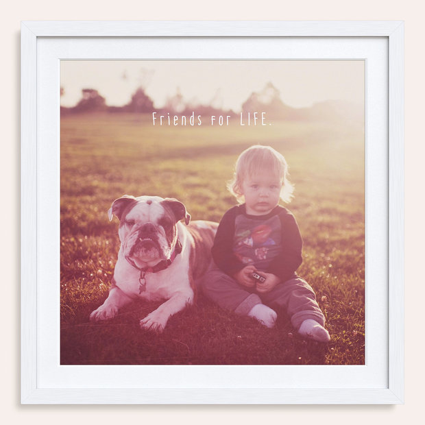 Wandbilder mit Foto - Friends for life