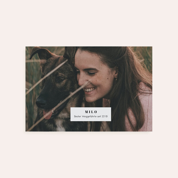 Mini-Fotobücher - Treuer Gefährte