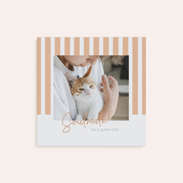 Mini-Fotobücher - Liebste Fellnase