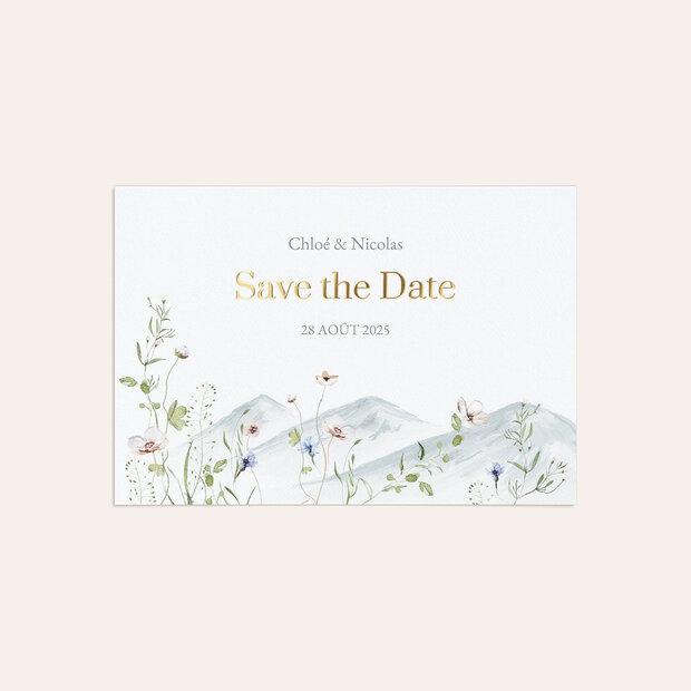 Save The Date mariage - Vues de rêve