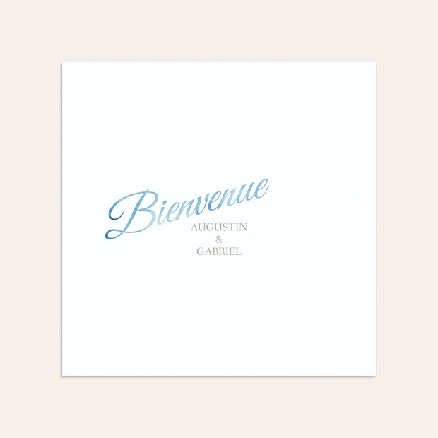 Enveloppe naissance - Bébé jumeaux