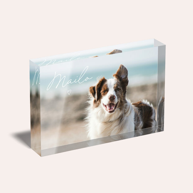 Geschenke mit eigenem Foto - Acrylblock “Fellnase”