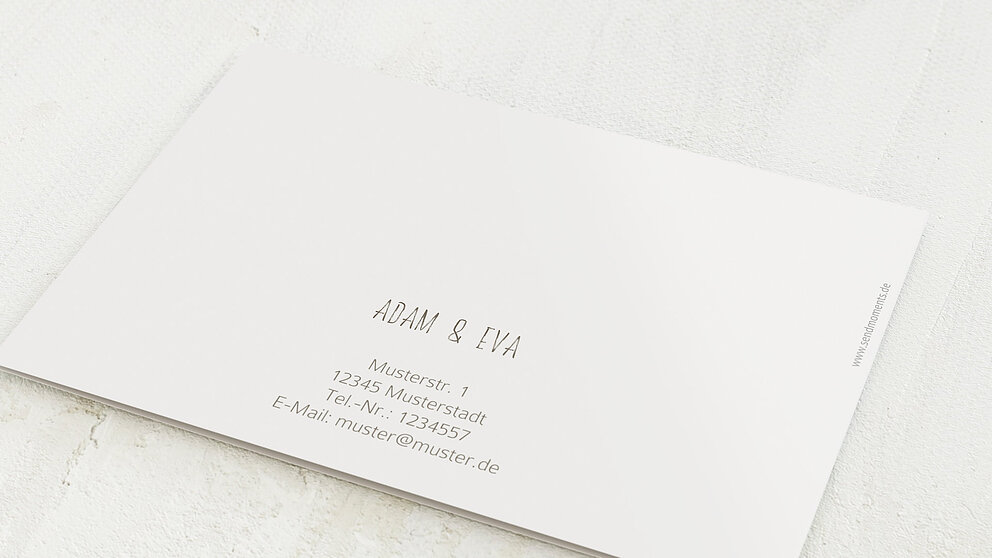 Productafbeelding 12