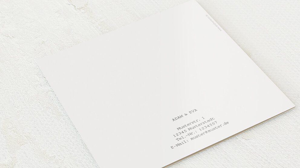 Productafbeelding 12