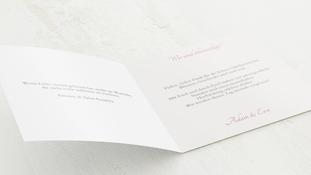 Productafbeelding 22