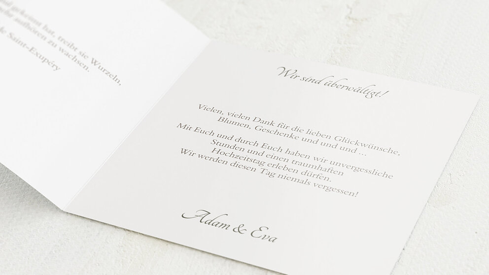 Productafbeelding 11