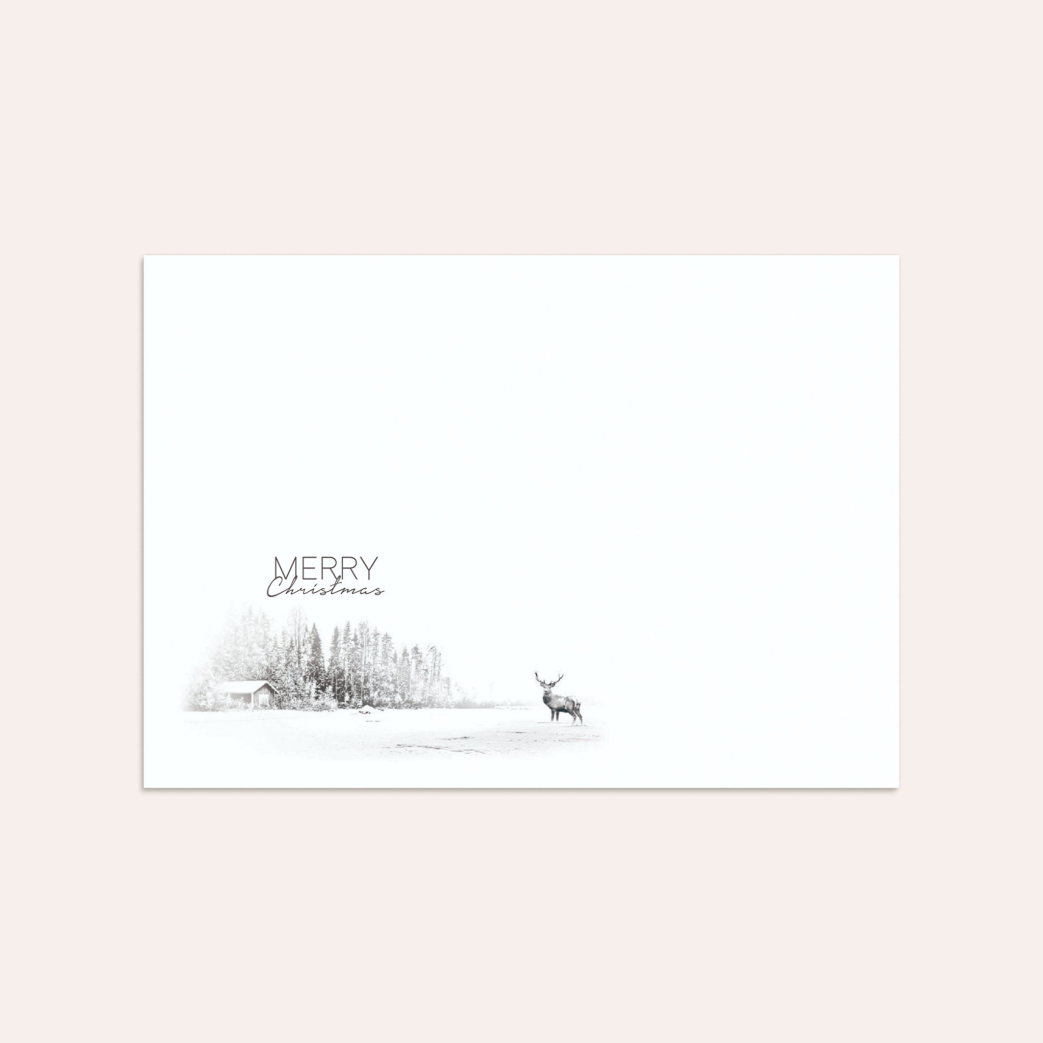 The Moose